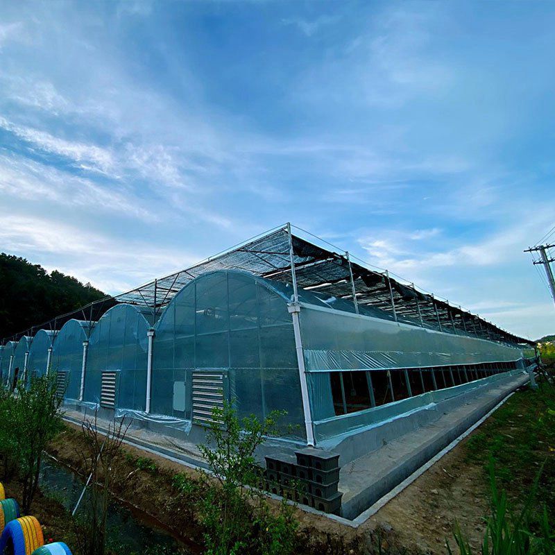 漳平溫室工程