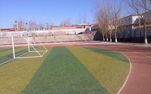 關于塑膠跑道運動場地你不知道的那些事