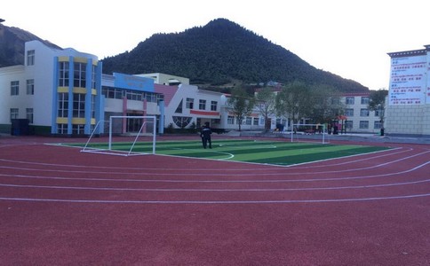 不同的塑膠跑道它的差異是什么，如何去選擇使